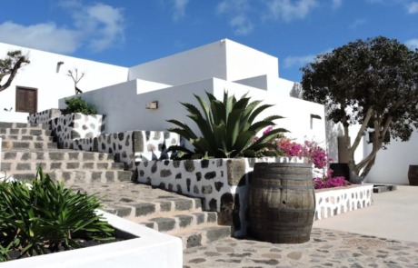 Bodegas y Viñedos Vega de Yuco