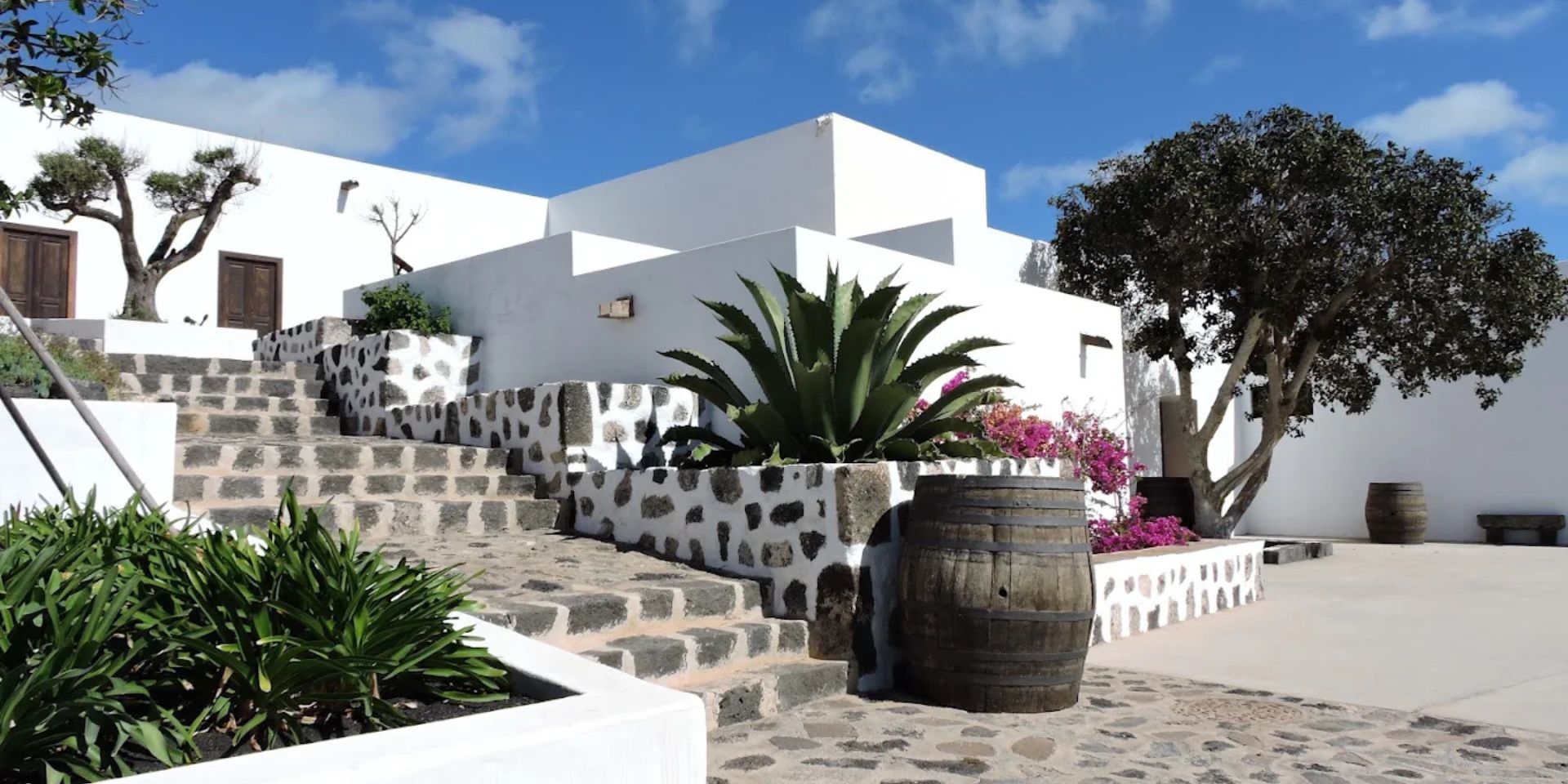 Bodegas y Viñedos Vega de Yuco