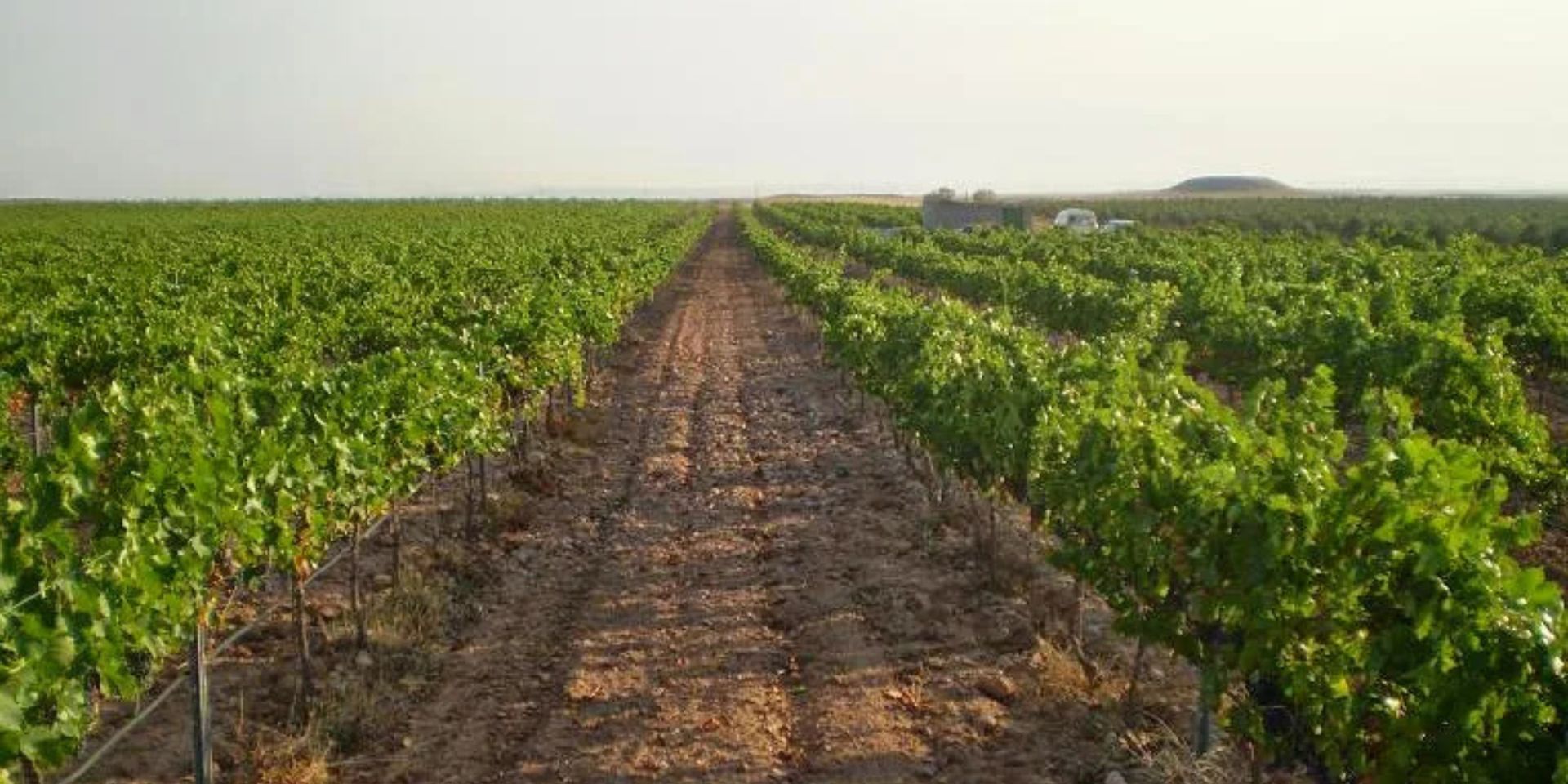 Bodegas Tempore