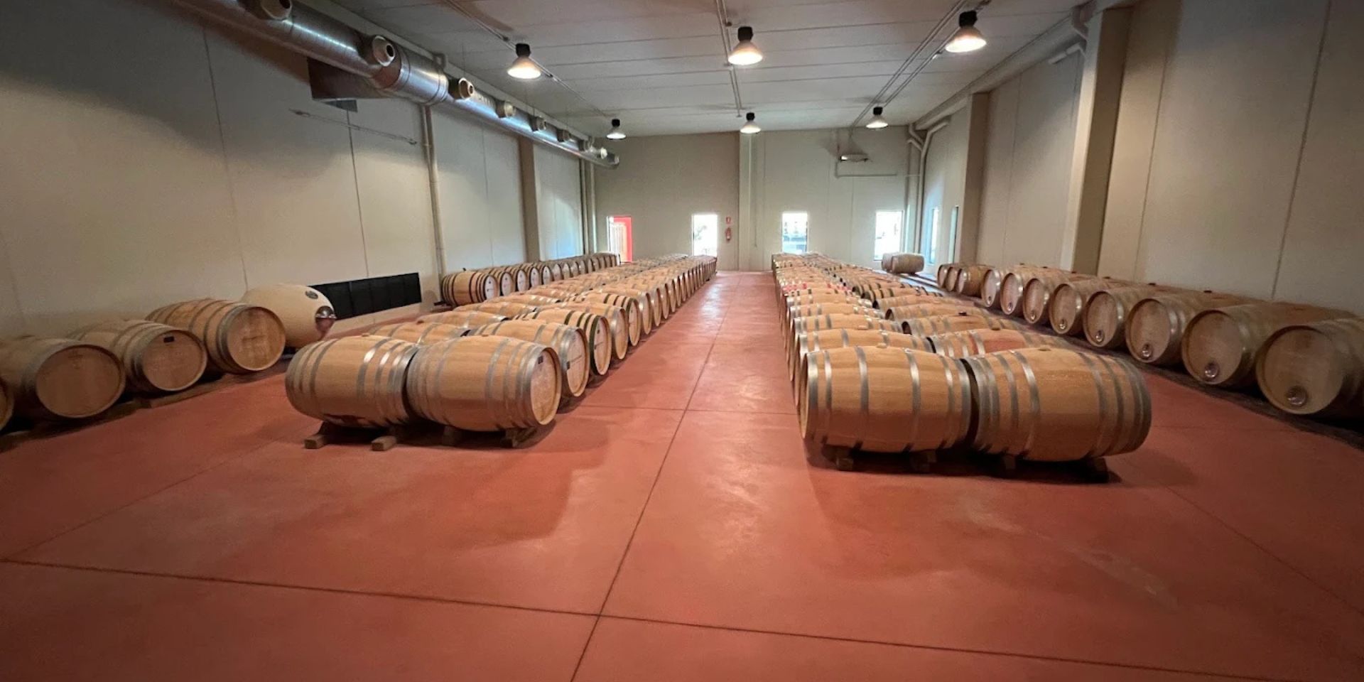 Vinyes I Bodegues Miquel Oliver