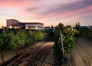 Bodegas Finca Manzanos