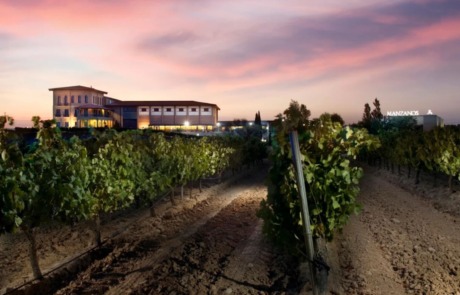 Bodega Finca Manzanos