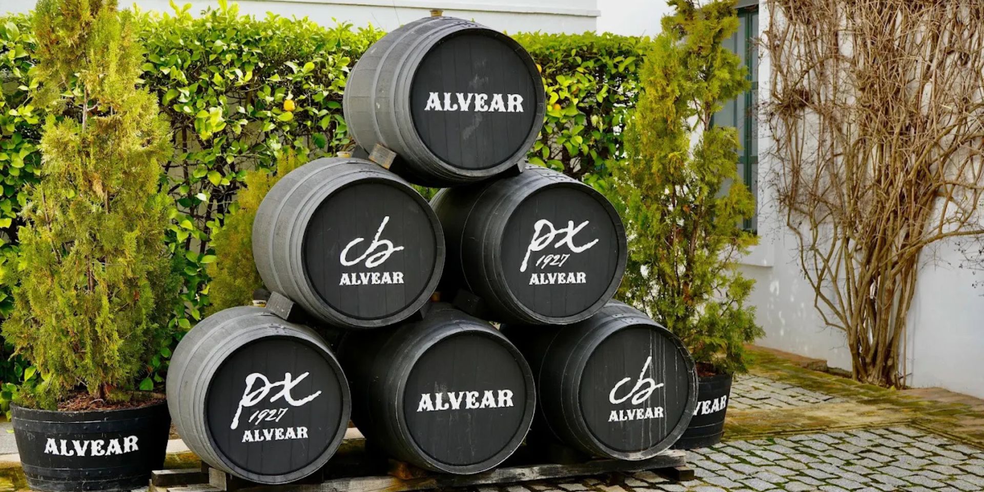 Bodegas Alvear