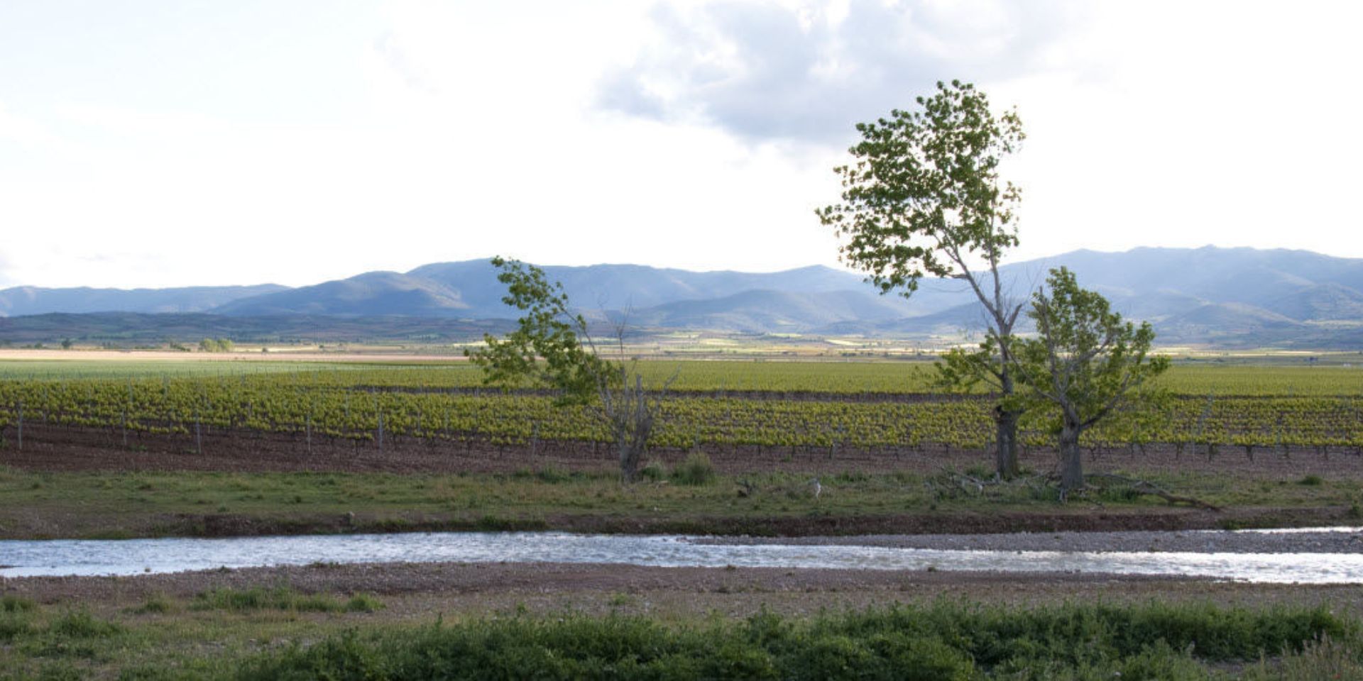 Bodegas Solar de Urbezo