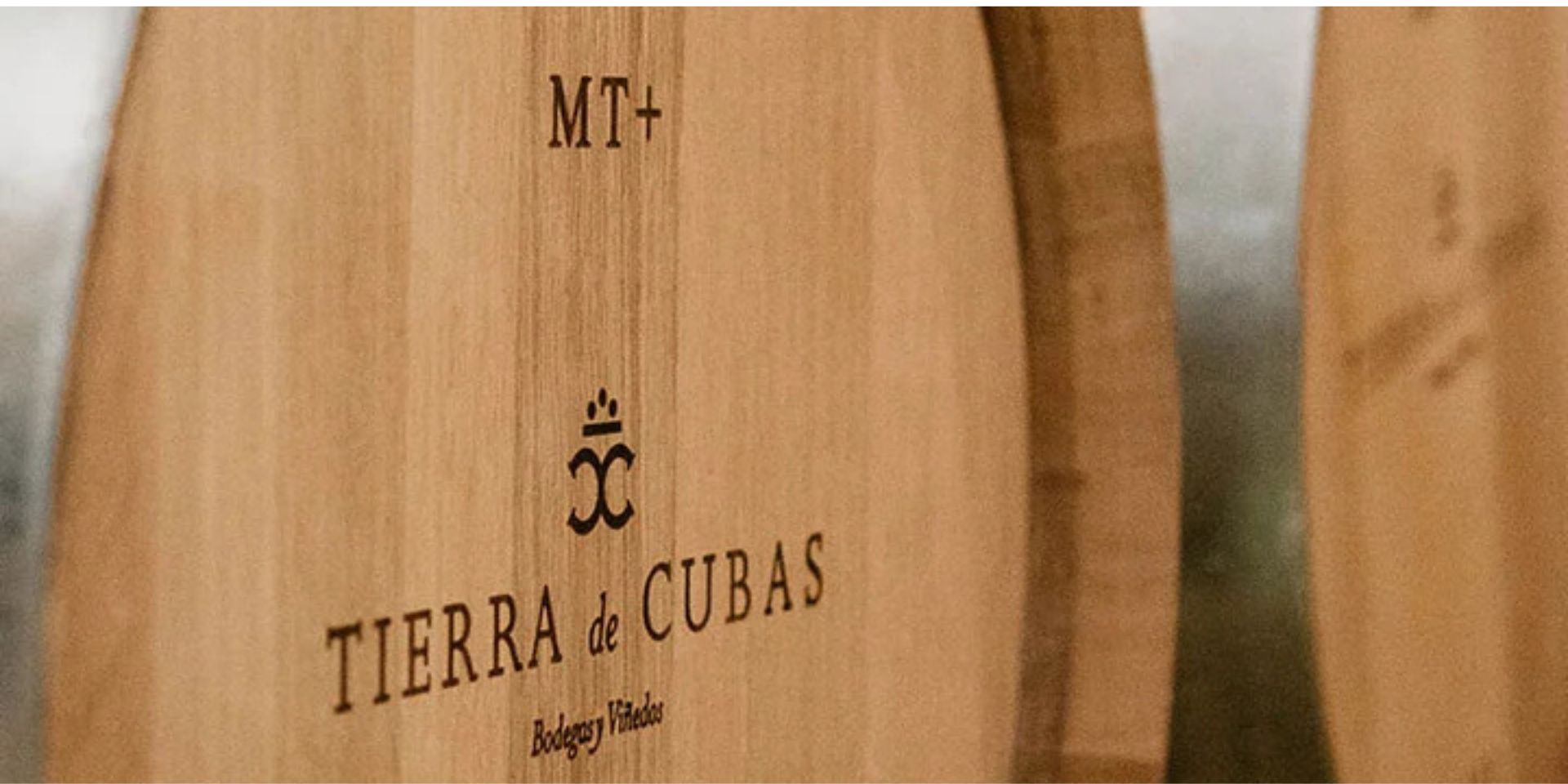 Bodega y Viñedos Tierra de Cuba