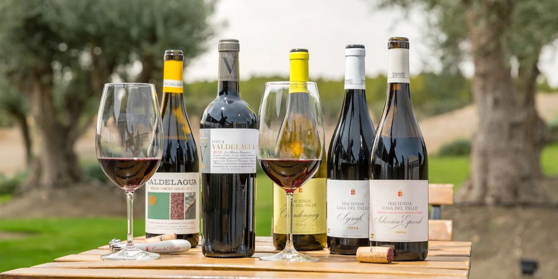 Bodegas y Viñedos Casa del Valle