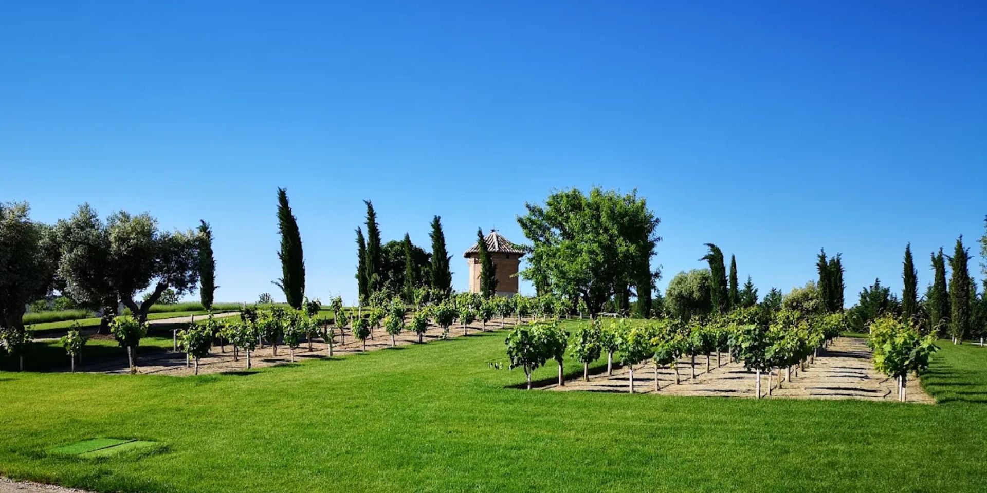 Bodegas y Viñedos Casa del Valle