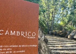 Bodegas Cámbrico