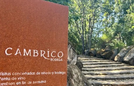 Bodegas Cámbrico