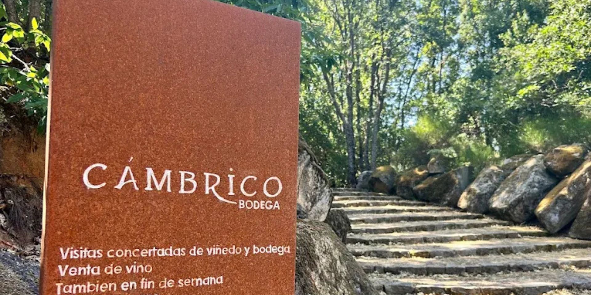 Bodegas Cámbrico