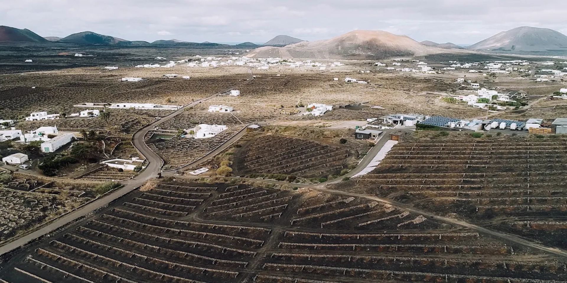 Bodegas y Viñedos Vega de Yuco