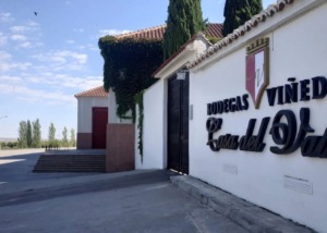 Bodegas y Viñedos Casa del Valle