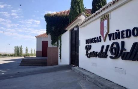 Bodegas y Viñedos Casa del Valle