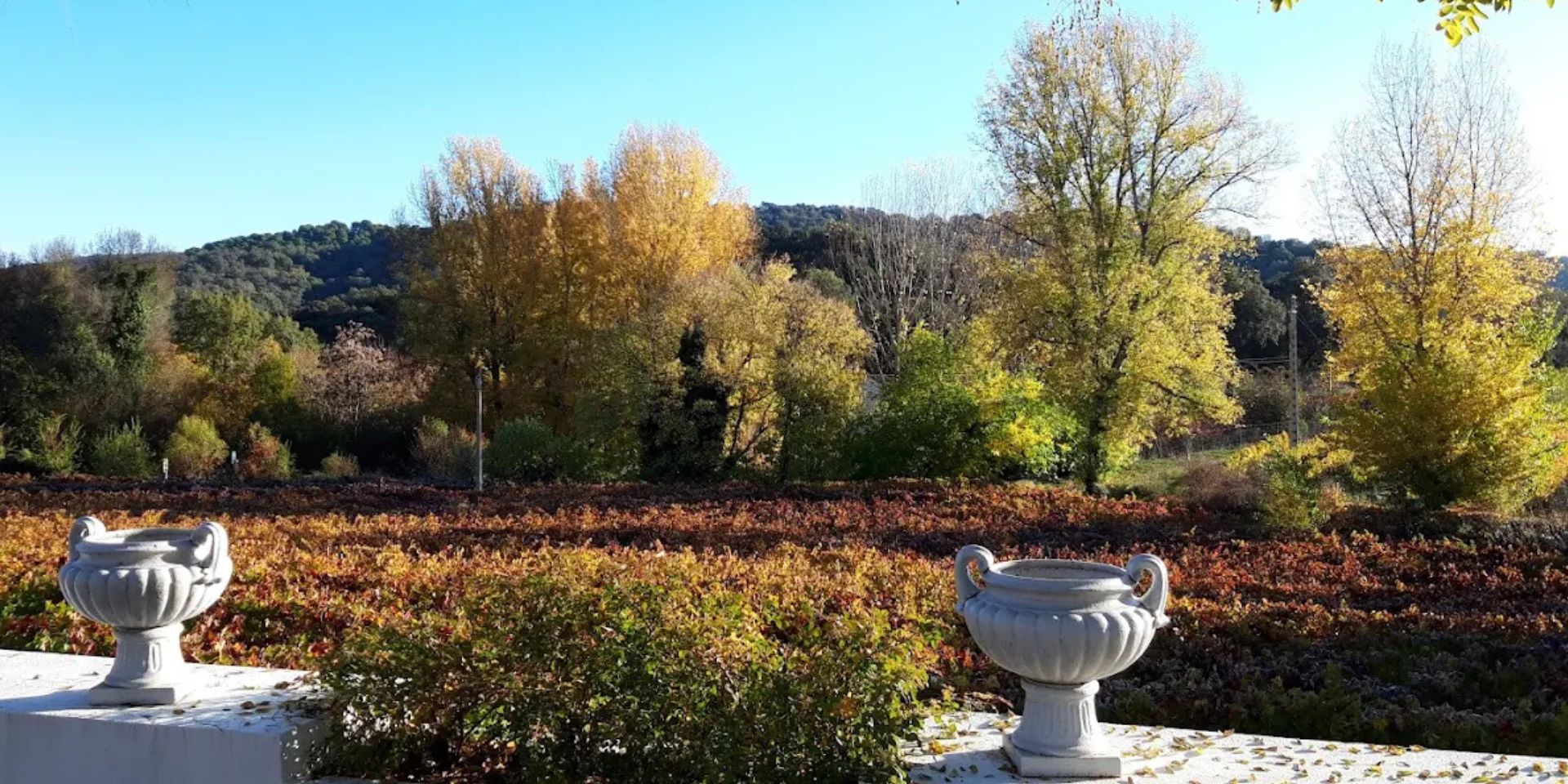 Bodegas Fuente La Reina