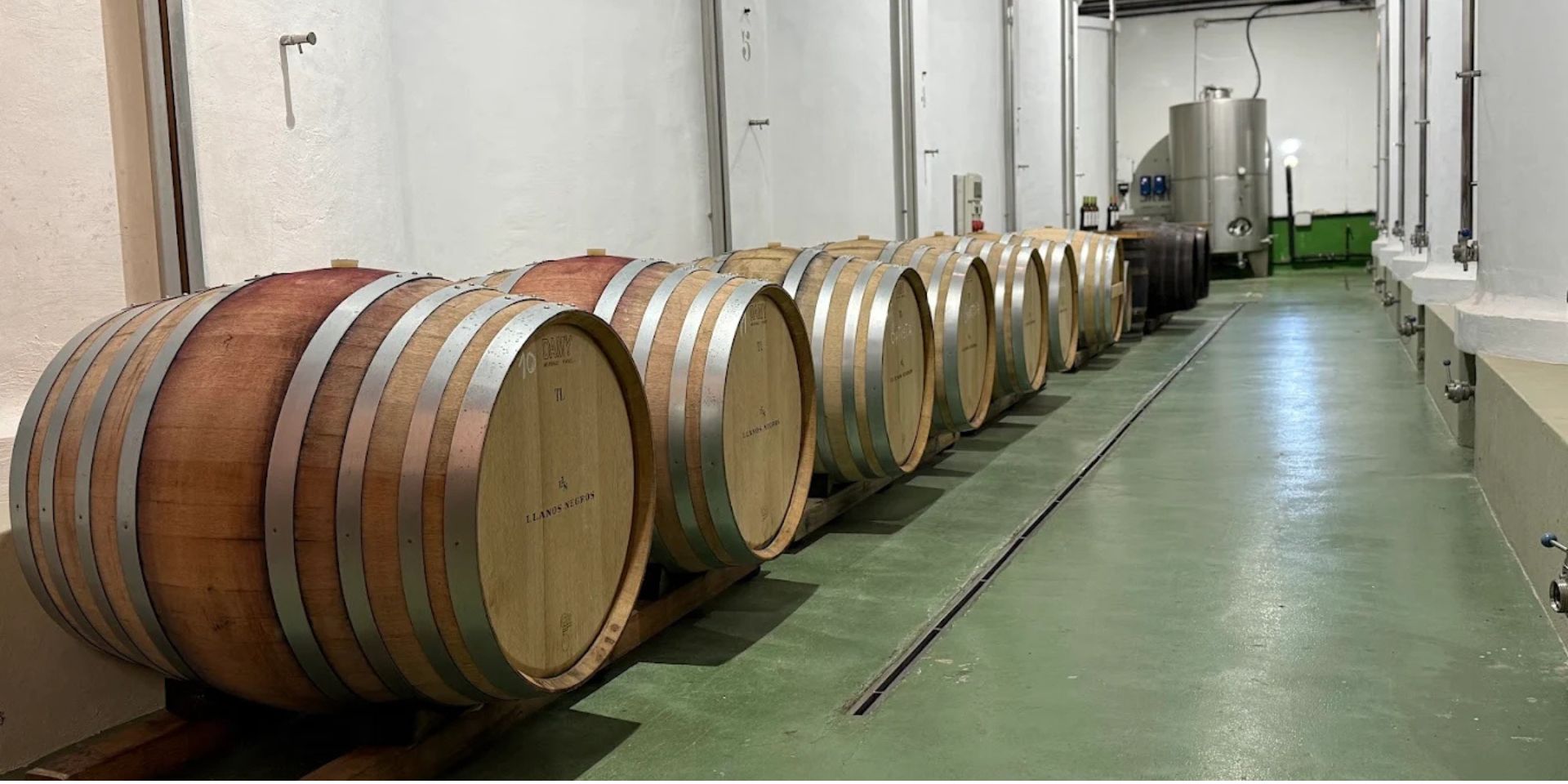 Bodegas Teneguía