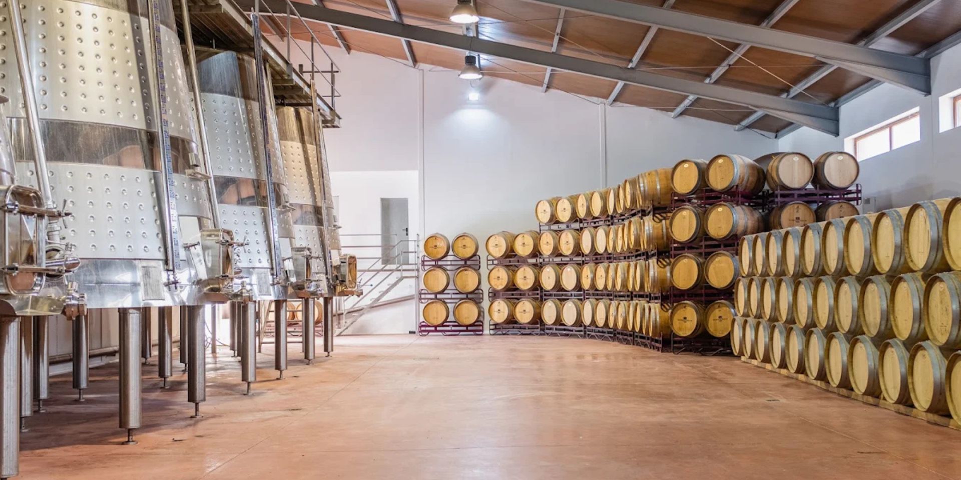 Bodegas Nodus