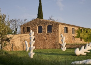 Bodegas D`Aubert