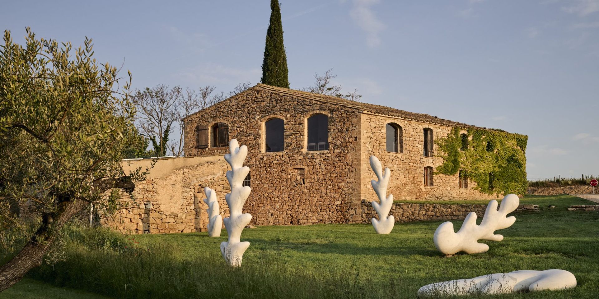 Bodegas D`Aubert