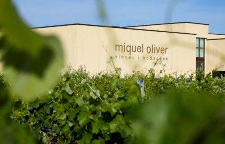 Vinyes i Bodegues Miquel Oliver