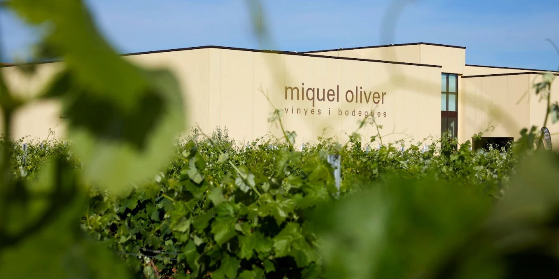 Vinyes I Bodegues Miquel Oliver