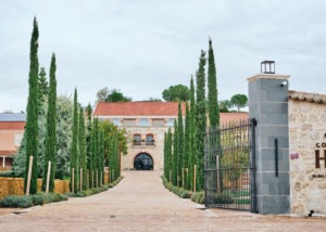 Bodegas Condado de Haza