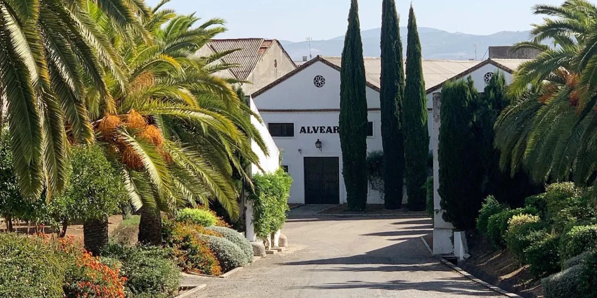 Bodegas Alvear