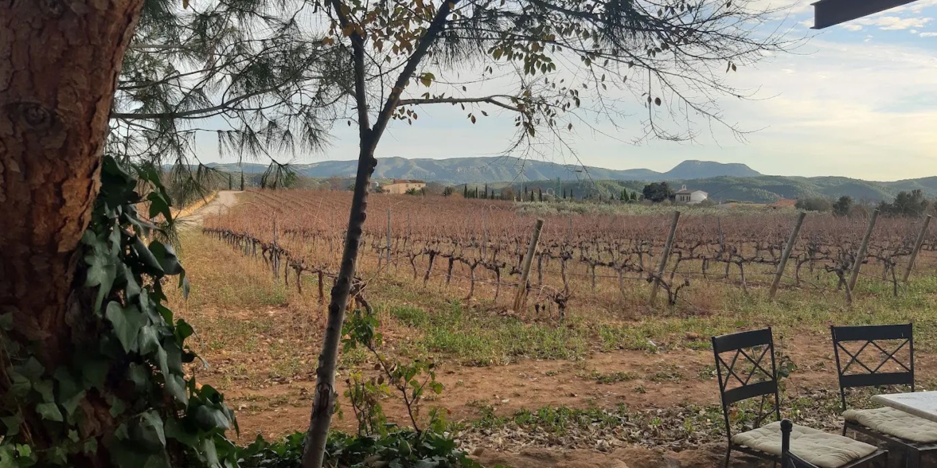 Bodegas Barón D'Alba