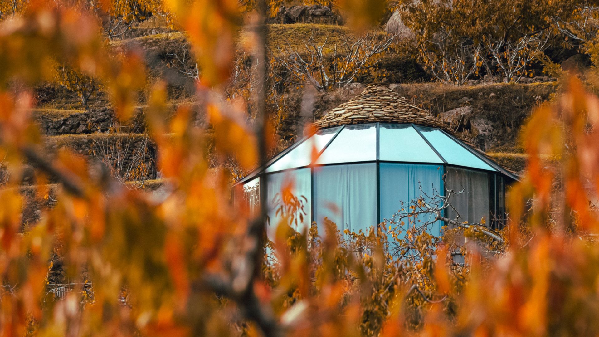 Glamping el Regajo